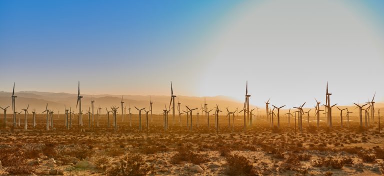 Modern Israel’s “Green” Groves