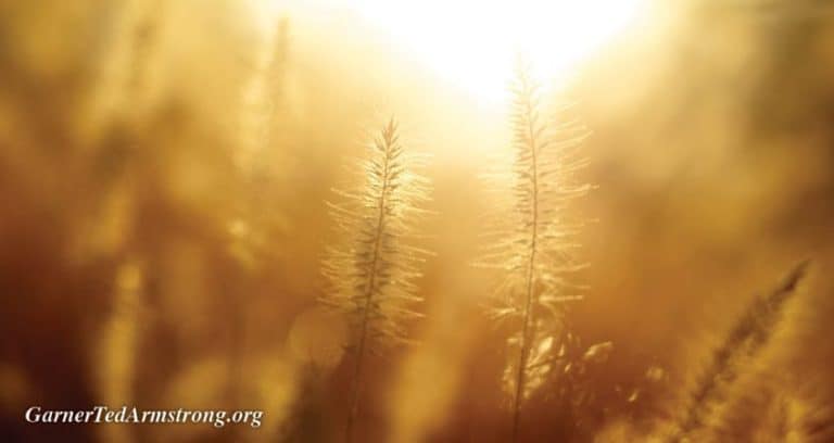 Are the Holy Days for Christians?