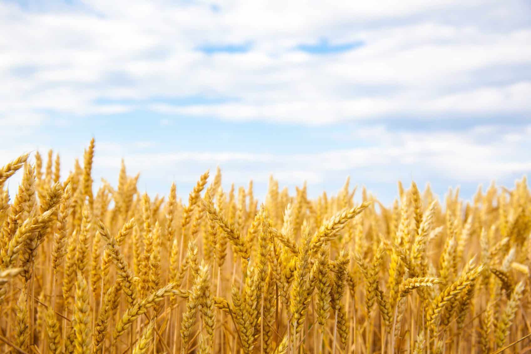 The Spiritual Meaning of the Feast of Tabernacles