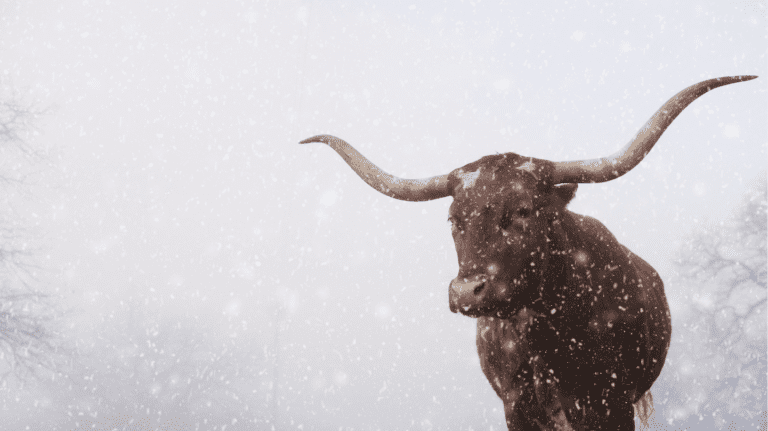 Just the Facts on Texas’ Deep Freeze