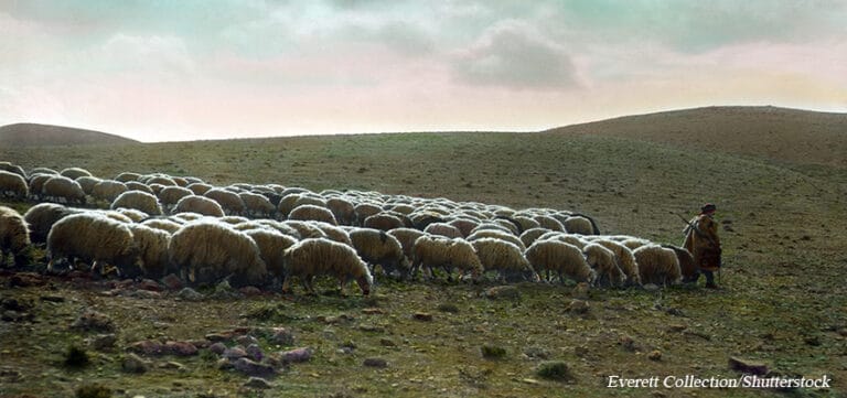 Is the Throne of David  Still With Us Today?
