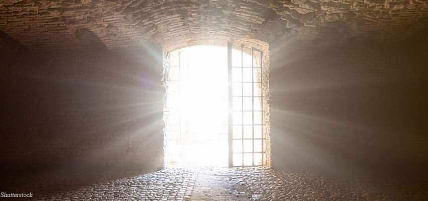 Peter’s INCREDIBLE Escape!