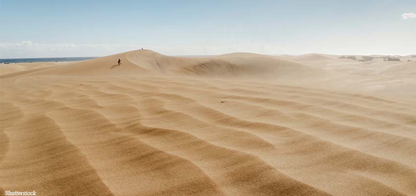 The Mysterious Sukkiim